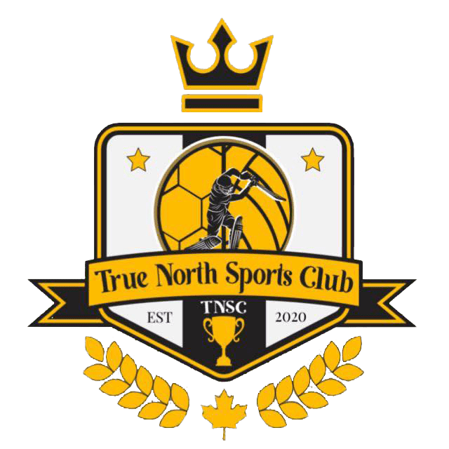 true north logo