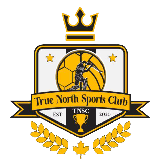 true north logo